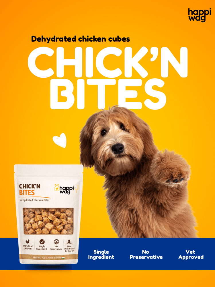 Hero banner-Mob-Chicken cube