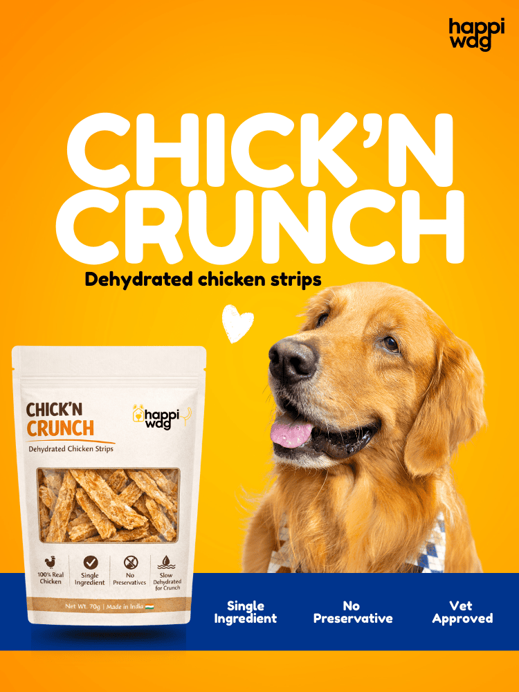 Hero banner-Mob-Chicken strip